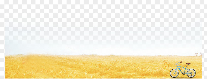 Autumn Grass Brand Yellow Material Font PNG