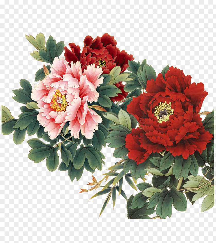 Peony Photos China Painting Gongbi Art PNG