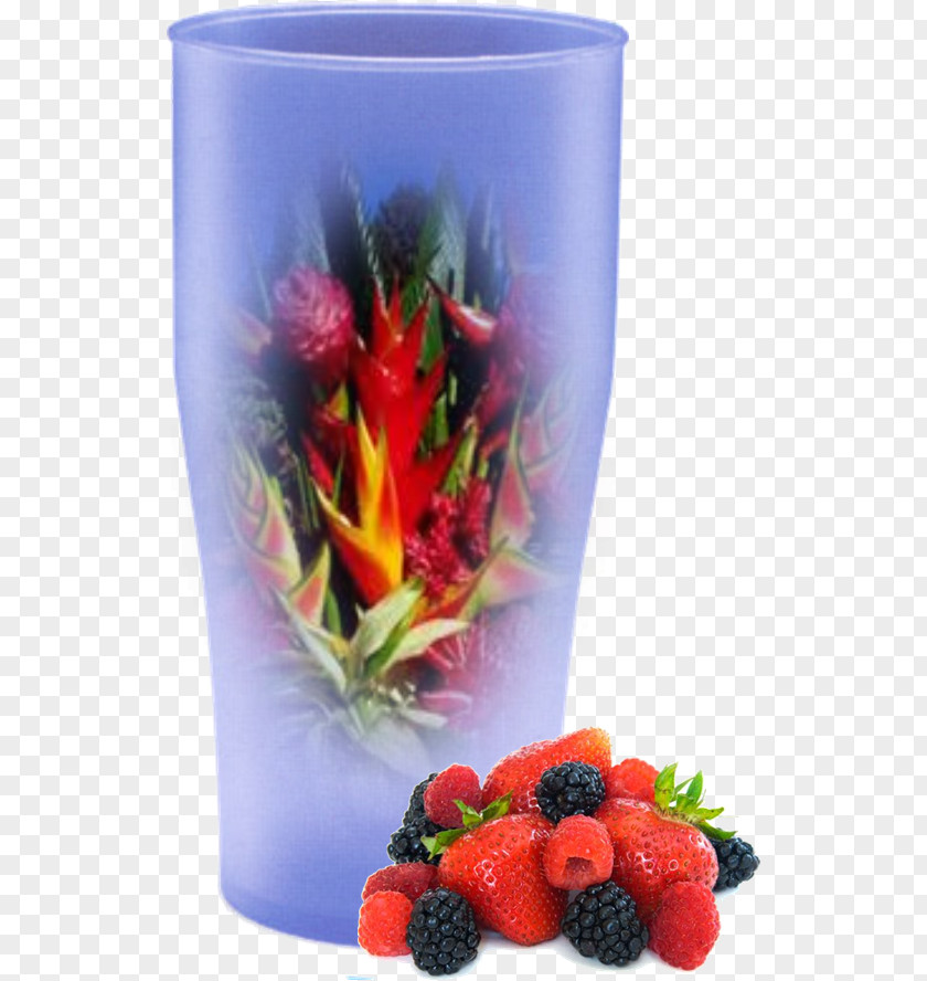 Plant Flowerpot Tropics Fruit PNG