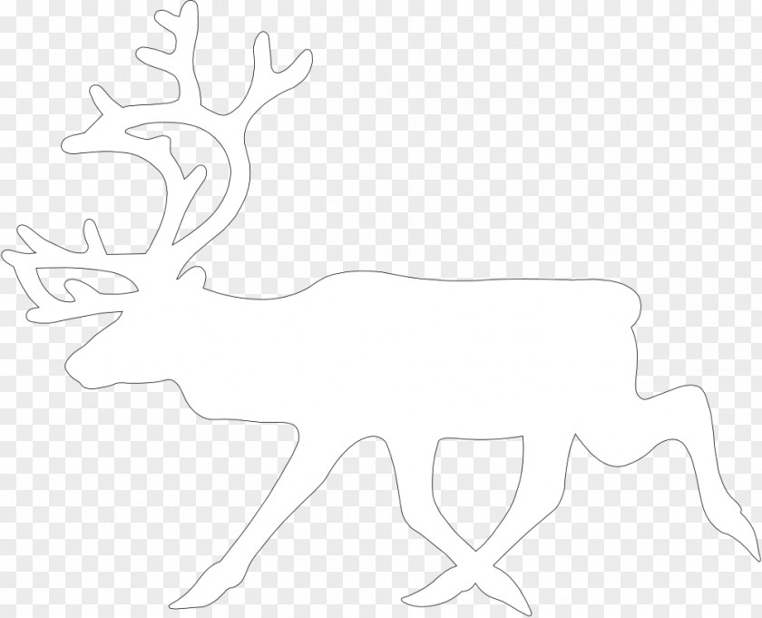 Reindeer Antler White Clip Art PNG