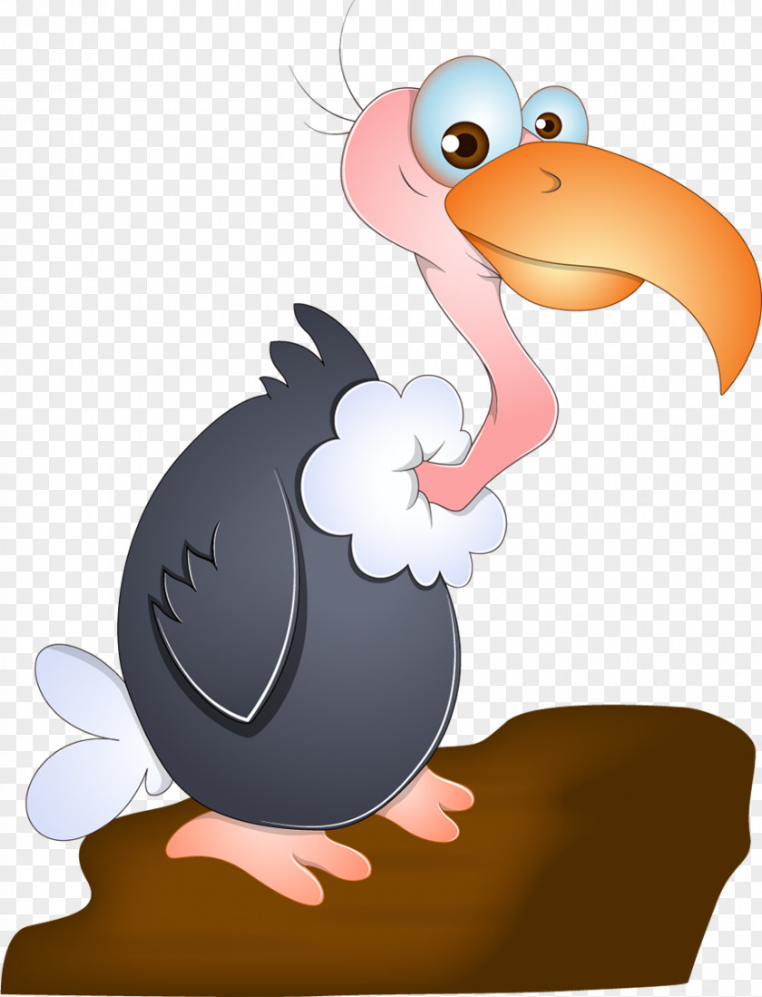 Turkey Bird Vulture Stock Photography Clip Art PNG