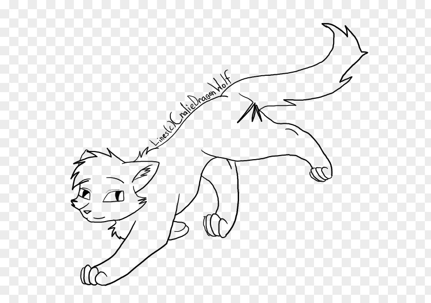 Cat Tail Drawing Sketch PNG