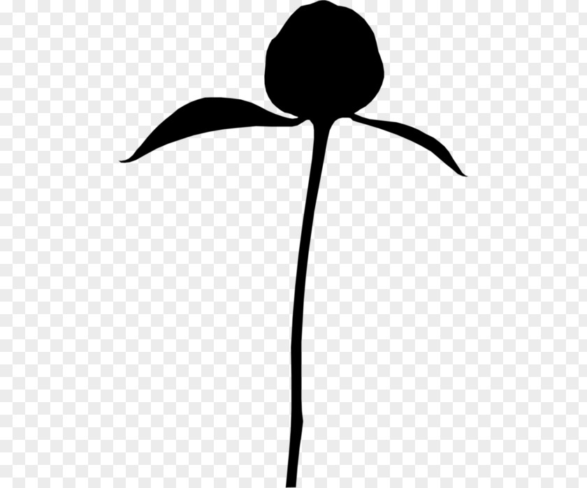 Clip Art Silhouette Line Flower Plant Stem PNG