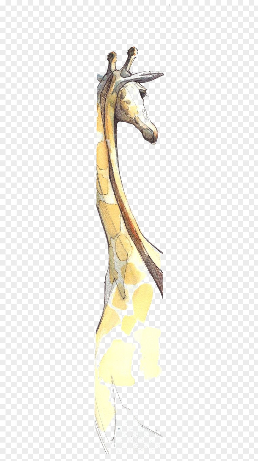 Hand-painted Giraffe Drawing Watercolor Painting Illustration PNG