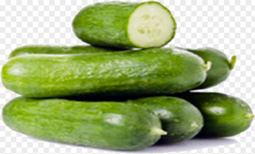 Pepino Spreewald Gherkins Food Vegetable Cucumber Natural Foods Cucumber, Gourd, And Melon Family PNG