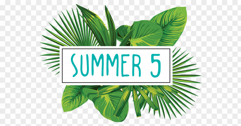 Summer Offers Vector Graphics Stock Illustration Tropics Logo PNG
