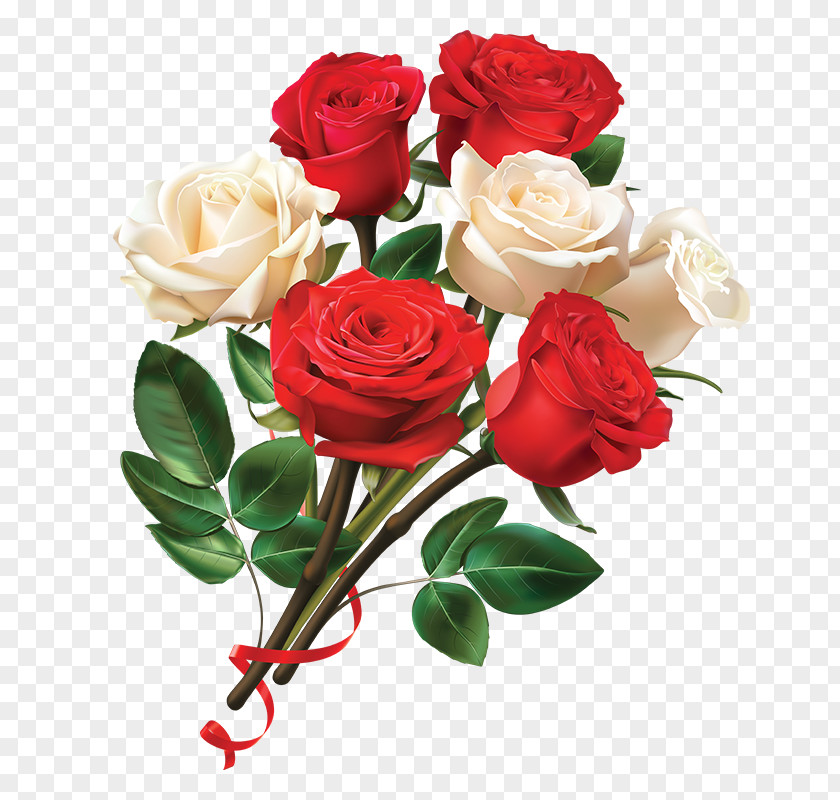 Women Day Red And White Rose Flower Garden Roses Paper Centifolia Valentines PNG