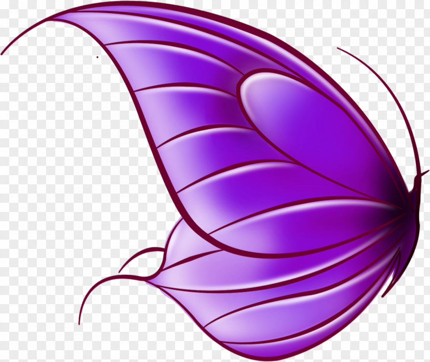 Butterfly Drawing Clip Art PNG