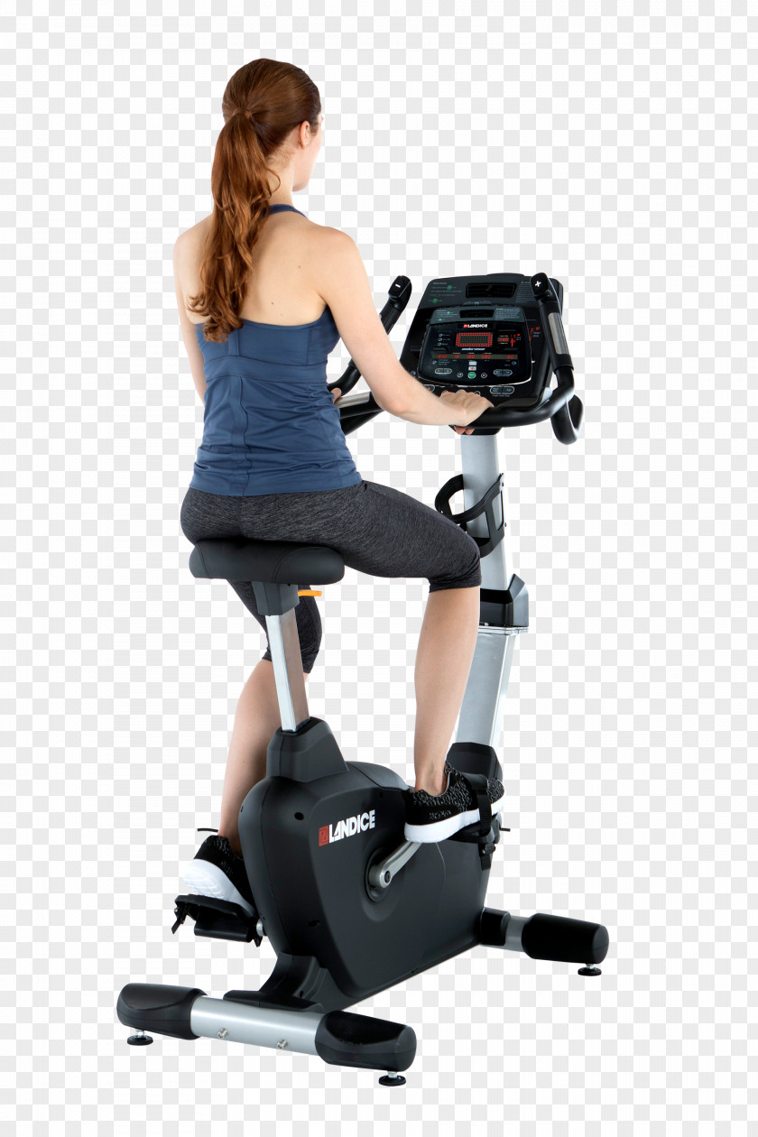 Design Elliptical Trainers Indoor Rower Exercise Bikes Fitness Centre PNG