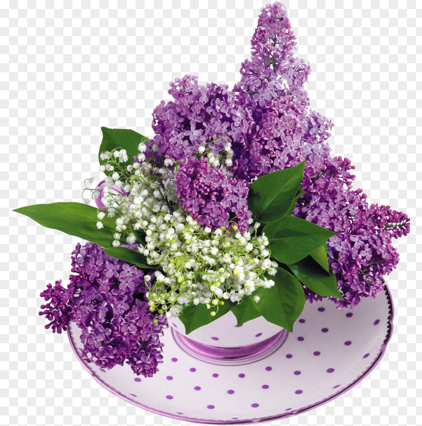 Lily Of The Valley Common Lilac Flower Garden PNG