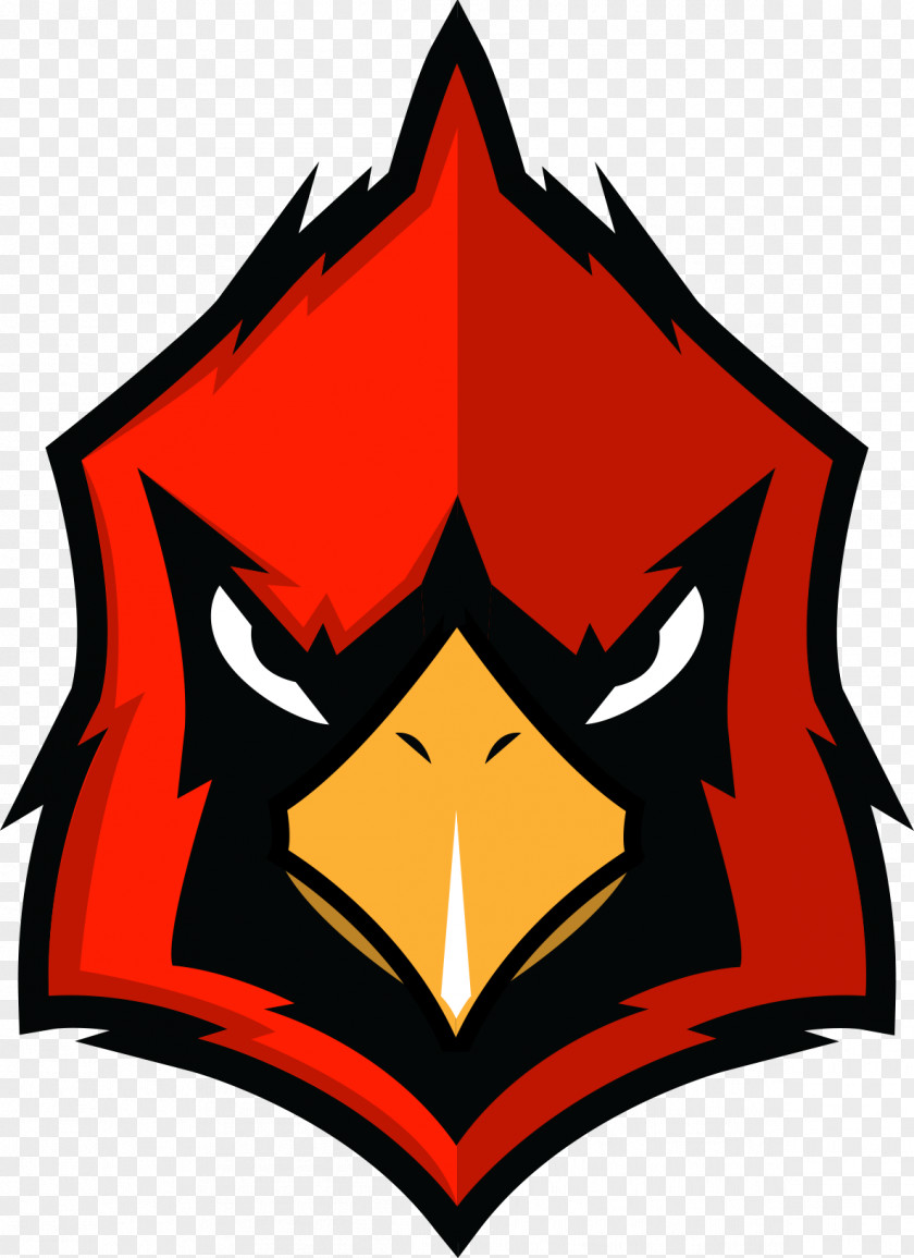 Cardinal Logos And Uniforms Of The St. Louis Cardinals Arizona PNG