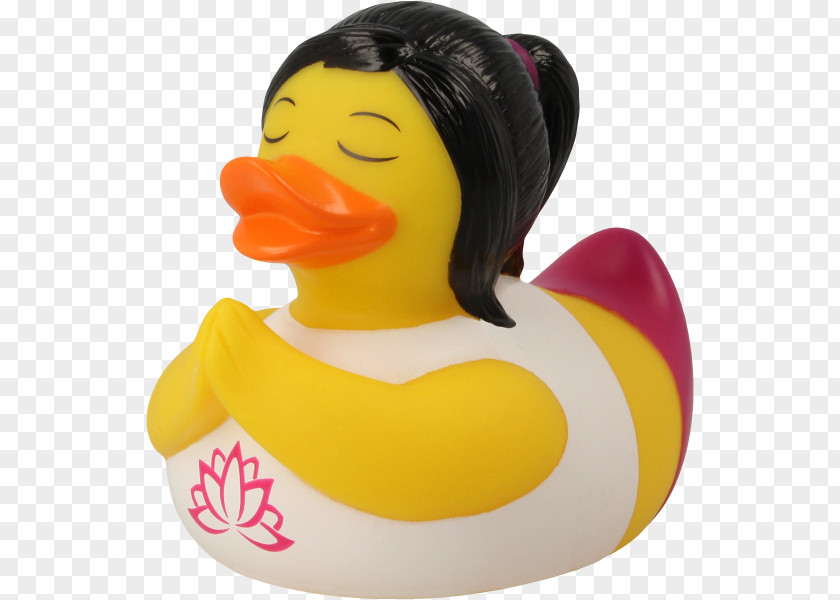 Duck Rubber Toy Natural Cygnini PNG