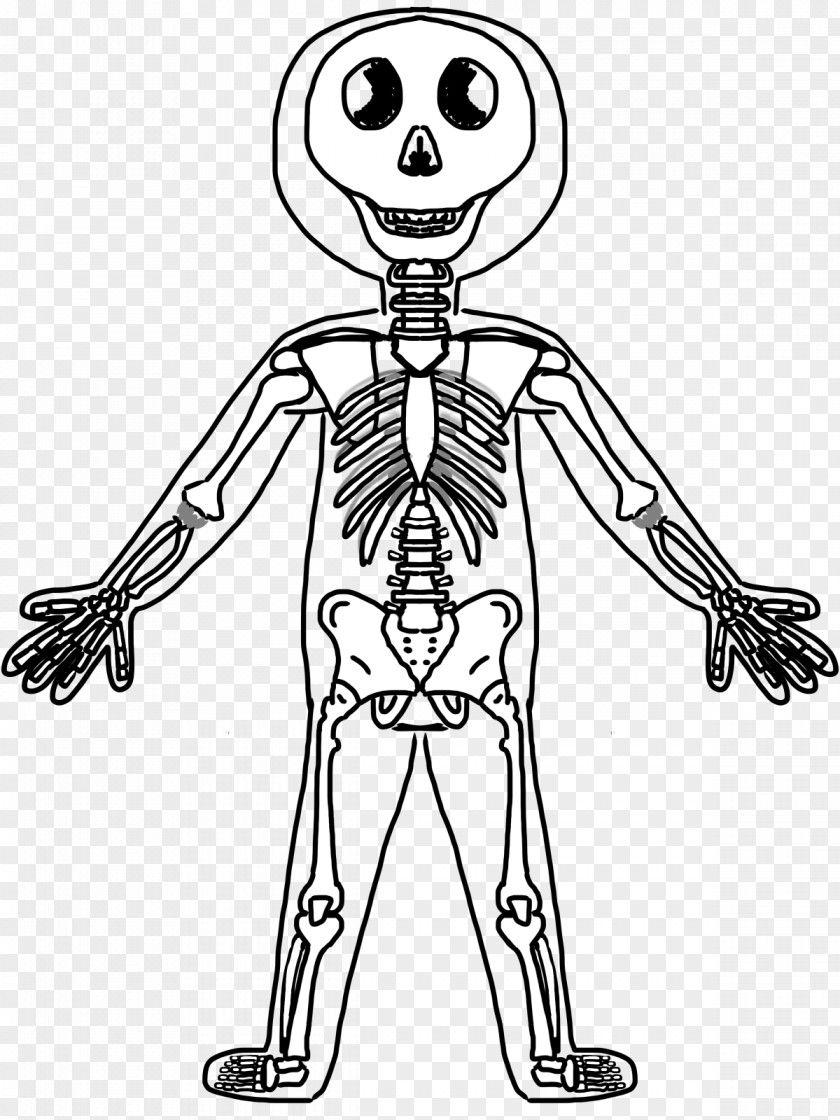 Fun Skeleton Cliparts Human Body Anatomy Muscle PNG