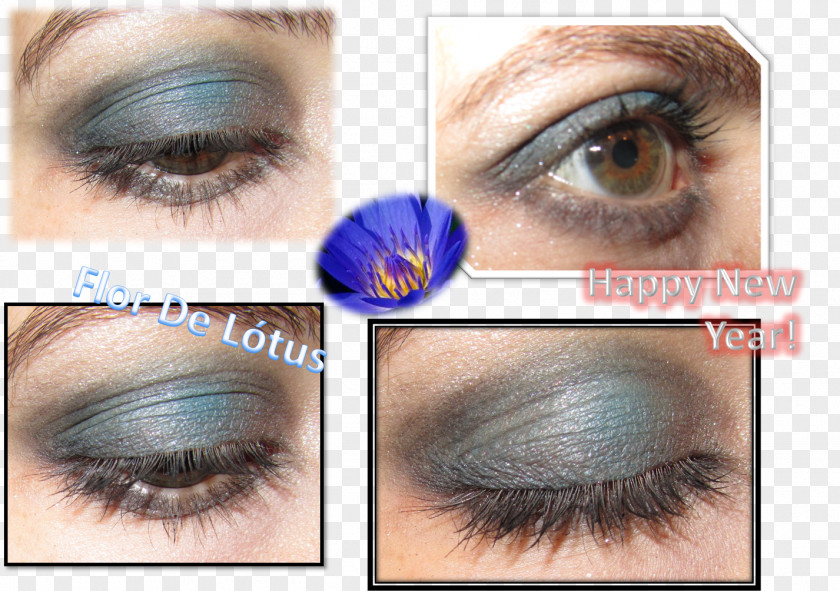 Lotus Lash Extensions Eyelash Eye Shadow Liner Lip PNG