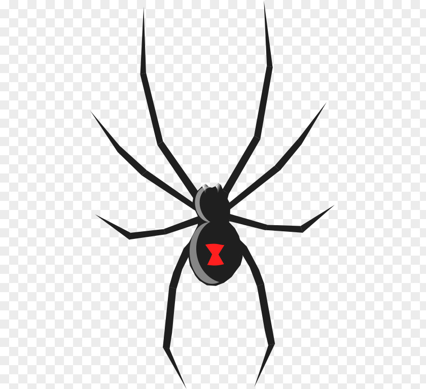 Black Widow Clip Art PNG