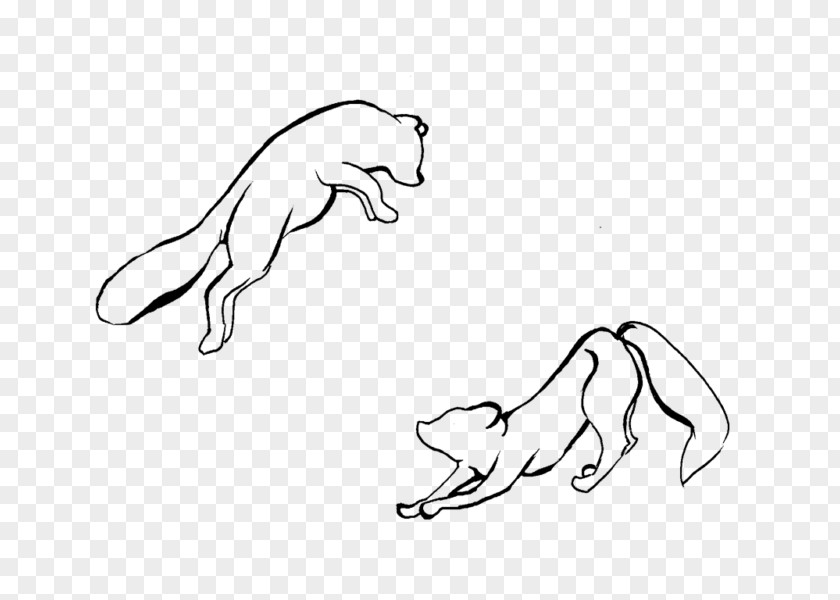Eurasian Lynx Dog Line Art Drawing Sketch PNG