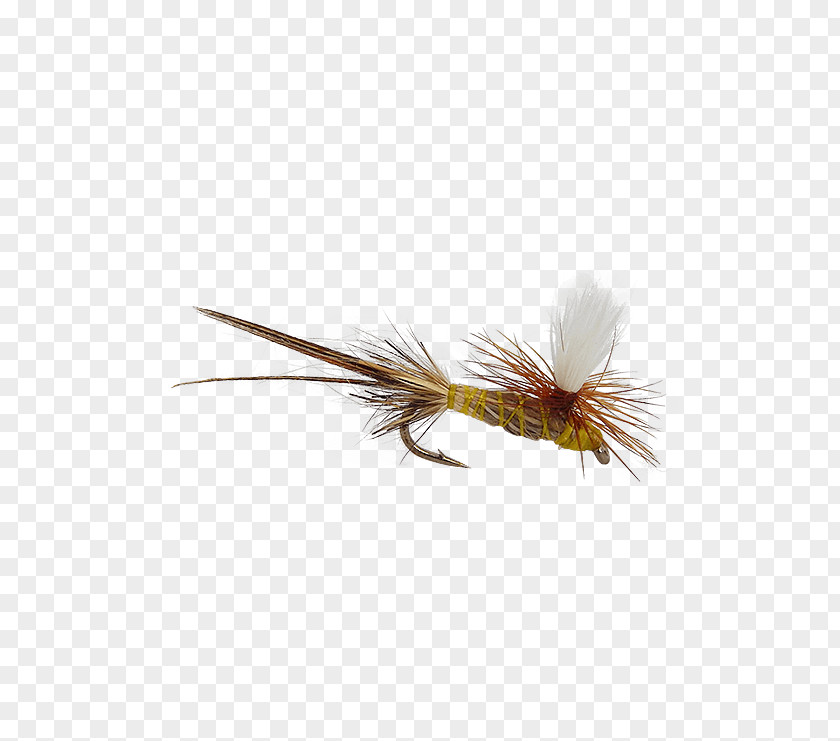 Fly Tying Artificial Insect Wing Holly Flies PNG