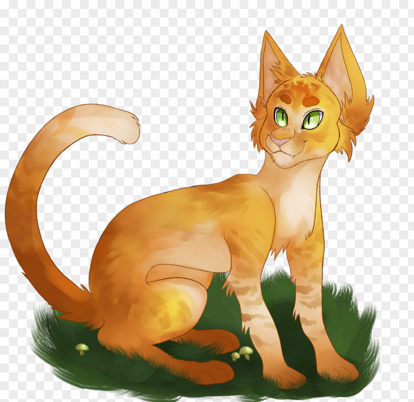Kitten Cat Warriors Into The Wild Whiskers PNG