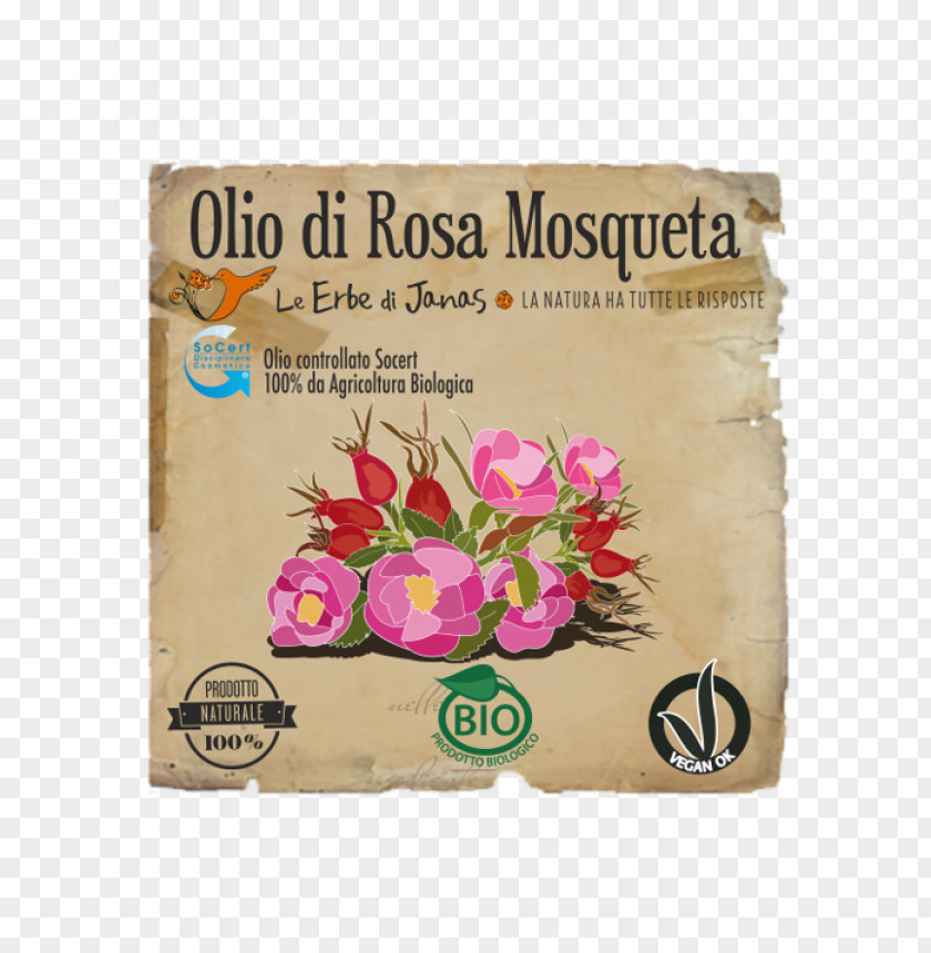 Rosa Mosqueta Tamanu Oil Avocado Argan Herb PNG