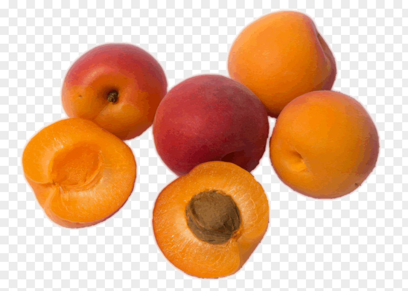 Apricot Kernel Oil Amygdalin Fruit PNG