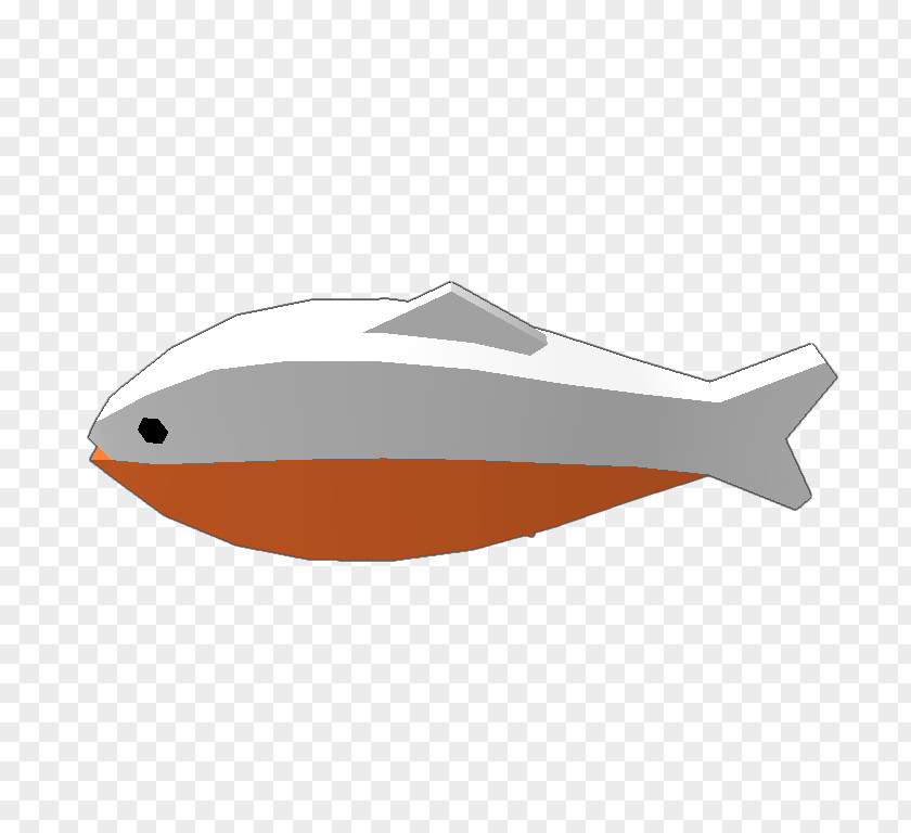 Design Marine Mammal Font PNG