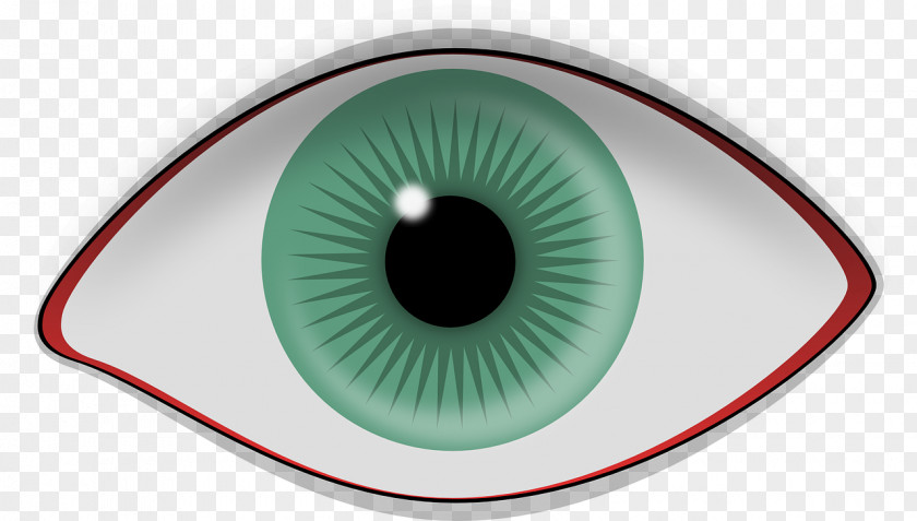 Eye Human Retina Iris Visual Perception PNG