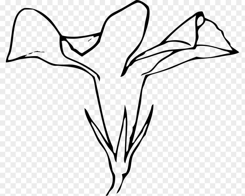 Flower Periwinkle Clip Art PNG