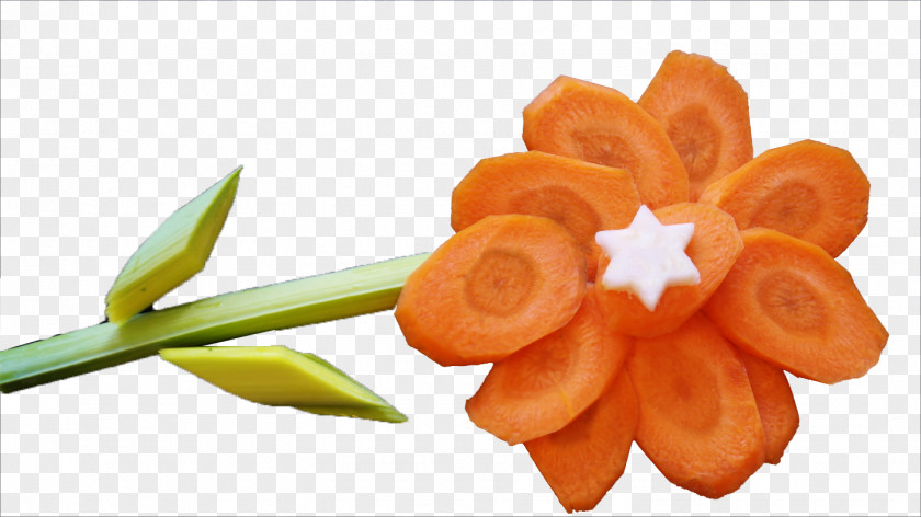 Flowers And Vegetables Carrot Vegetable Flower PNG