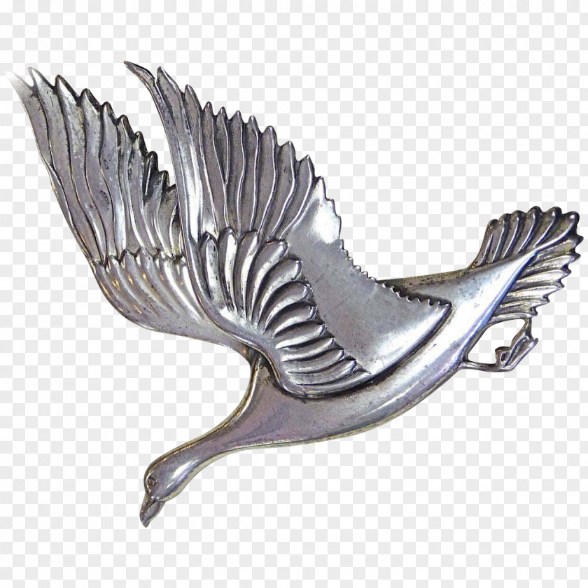 Goose Bird Wing Feather Beak PNG