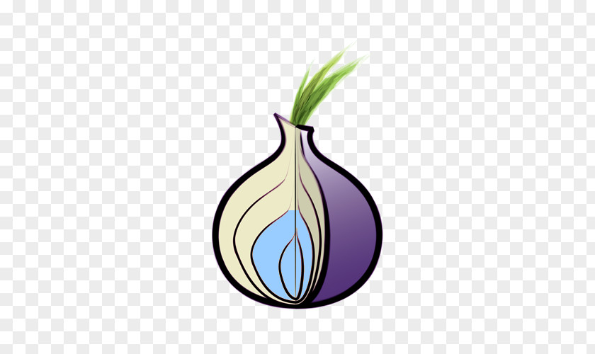 Onion Tor Browser .onion Routing Web PNG