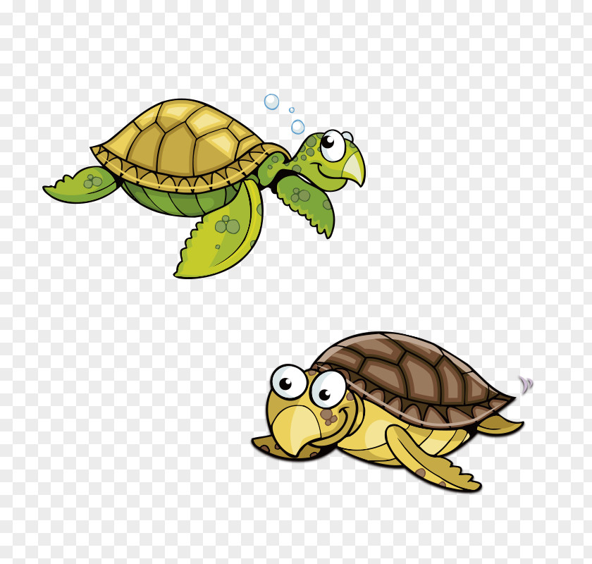 Two Turtles Sea Turtle Animation Cartoon PNG