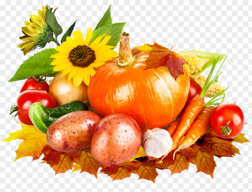 Vegetable Crop Yield Harvest Pumpkin Clip Art PNG