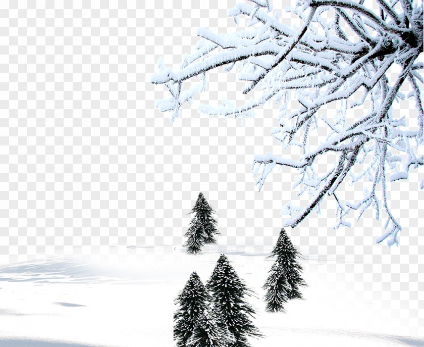 Winter Background Material Snow Download Computer File PNG