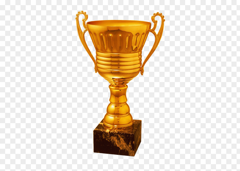 Awards Trophy Award PNG