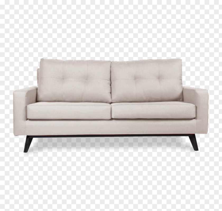 Design Loveseat Sofa Bed Couch Comfort PNG