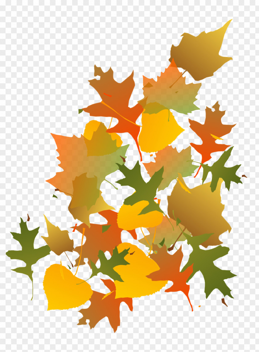 Fall Maple Leaf Autumn PNG