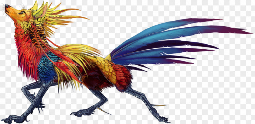Feather Rooster Beak Legendary Creature Chicken As Food PNG