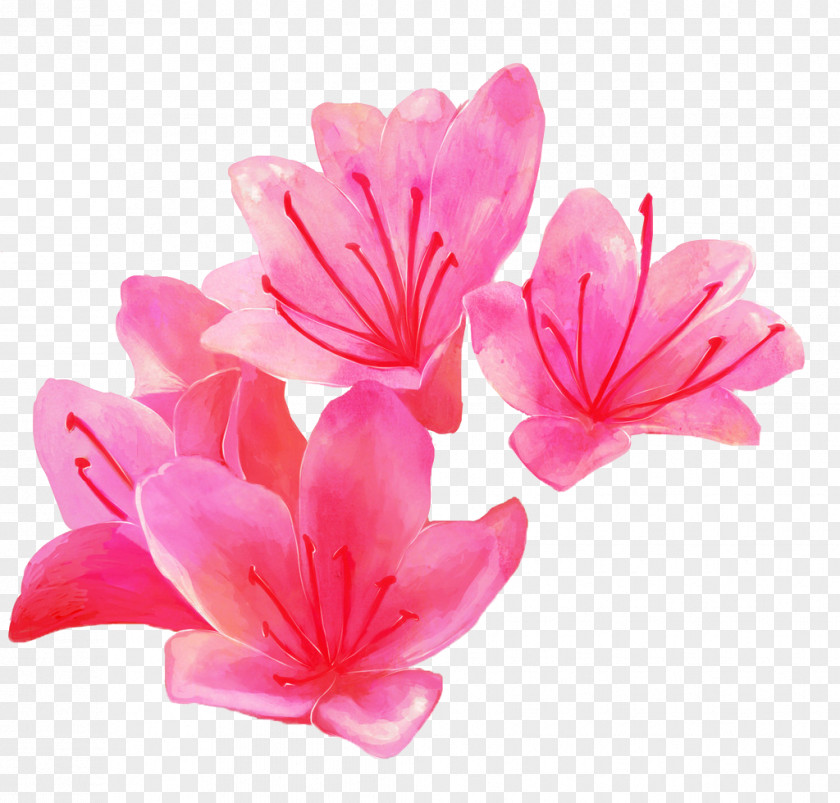 Pink Flowers Watercolor Painting Clip Art PNG
