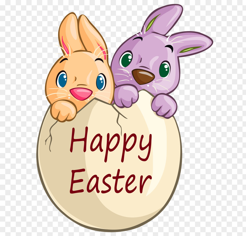 Rabbit Easter Bunny Clip Art European Hare PNG