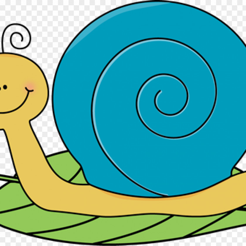 Snail Clip Art Image Cartoon PNG