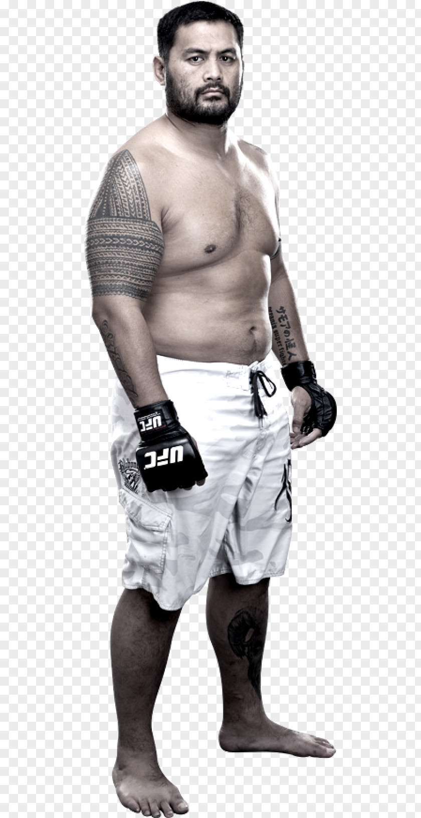 Ufc-3 Mark Hunt UFC 180: Werdum Vs. Kickboxing Male Sport PNG