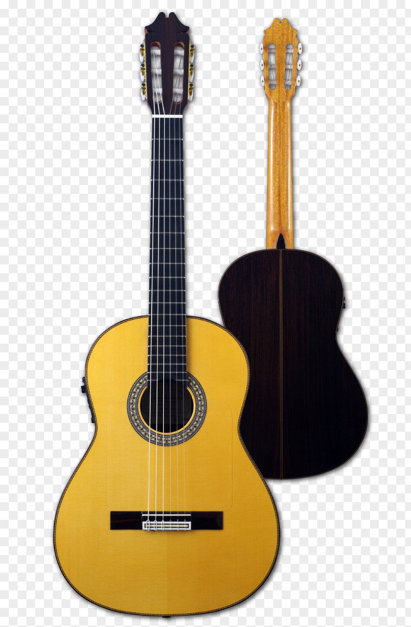 Acoustic Guitar Bass Cuatro Tiple Cavaquinho PNG