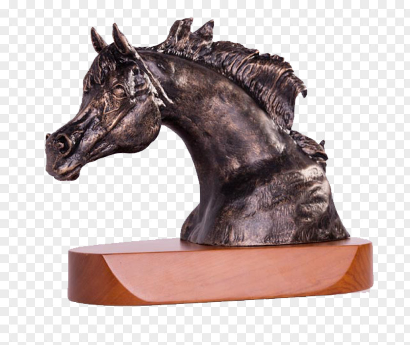 Arabian Horse Award Mustang Stallion Commemorative Plaque PNG