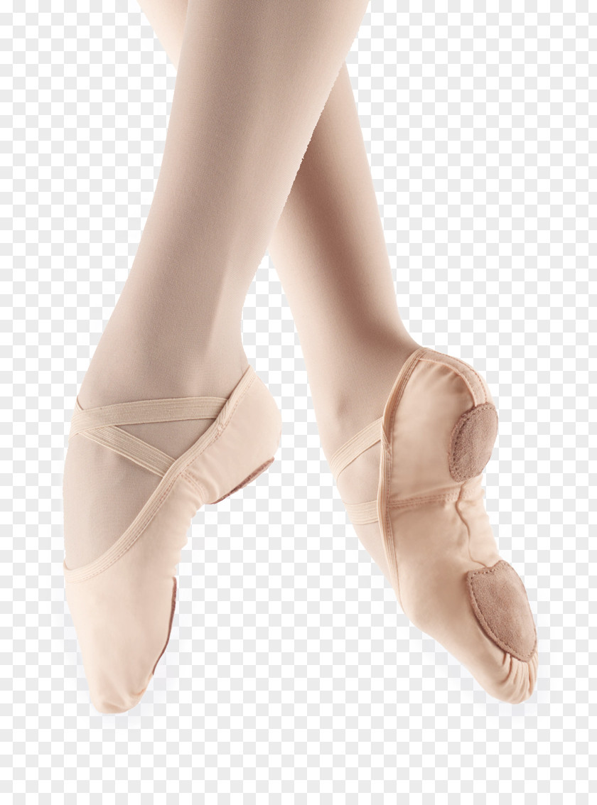 Ballet Slipper Shoe Dance Flat PNG