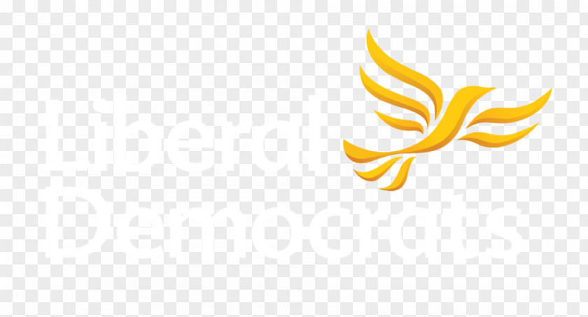 Design United Kingdom General Election, 2017 Logo Desktop Wallpaper Font PNG
