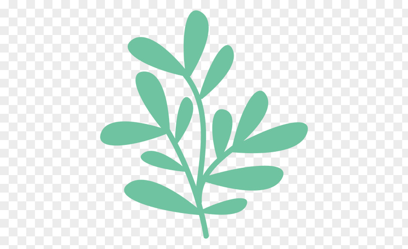 Doodles Leaf Plant Stem PNG