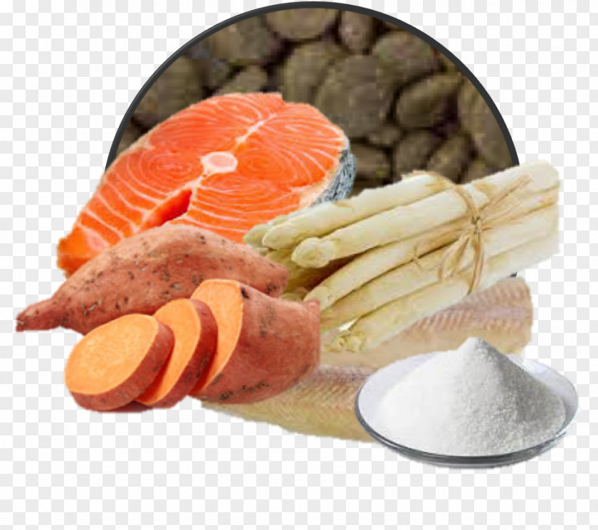 Elderly Home Dog Food Smoked Salmon Cat PNG