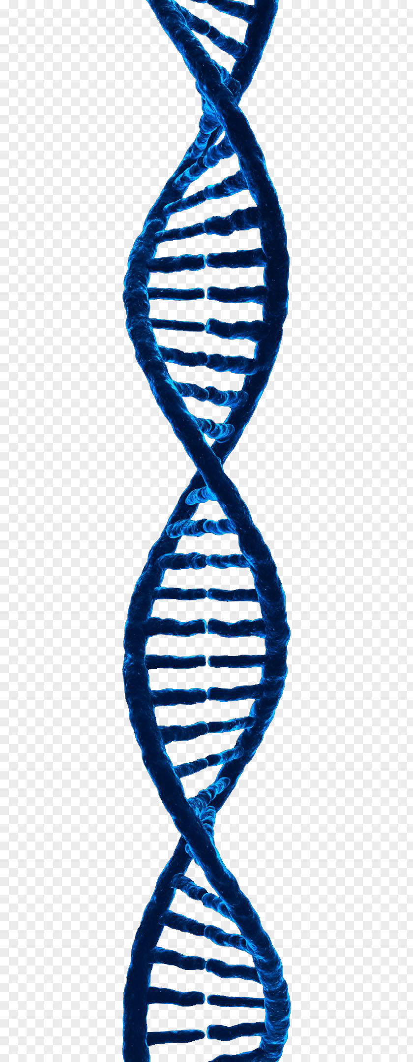 Free To Pull DNA Material 3D Rendering Computer Graphics PNG