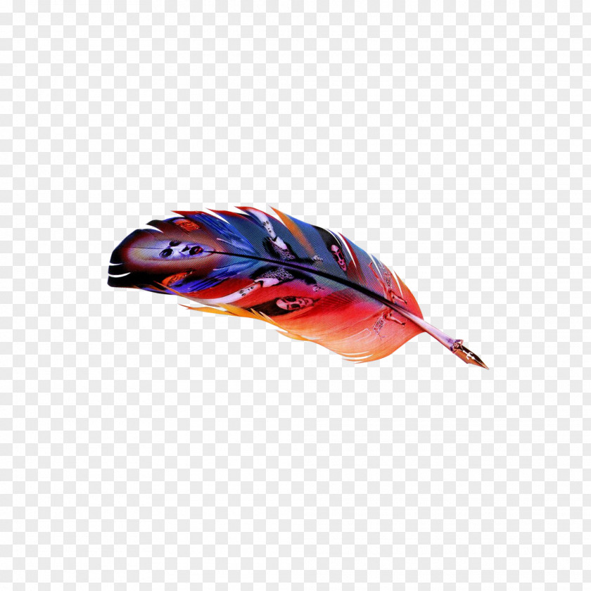 Rooster Feather Color Chicken Computer File PNG