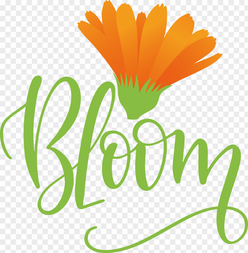 Bloom Spring PNG